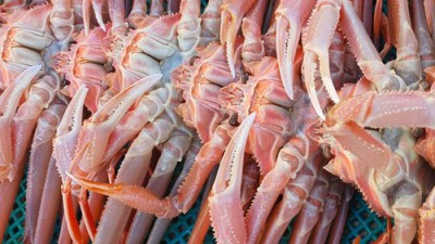 싱싱한 영덕대게: 핵꿀팁으로 득템하는 나만의 대게 파티!🦀