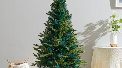 ✨ 크리스마스 분위기 UP! 전나무트리 득템 후기 (할인정보 포함) 🎄